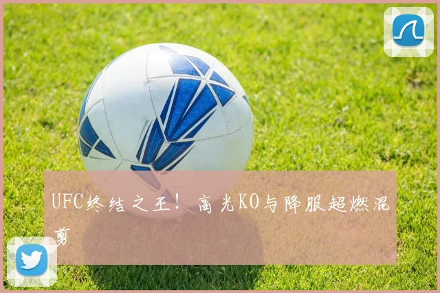 UFC终结之王!高光KO与降服超燃混剪