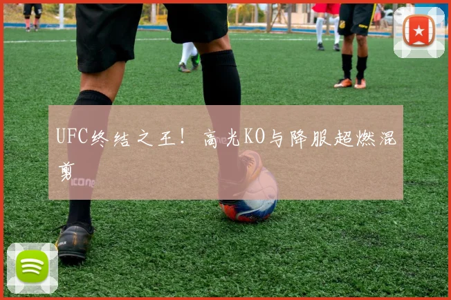 UFC终结之王！高光KO与降服超燃混剪