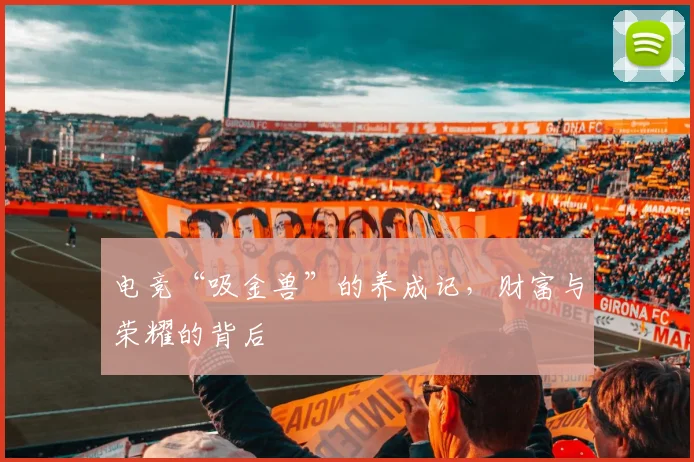 电竞“吸金兽”的养成记，财富与荣耀的背后