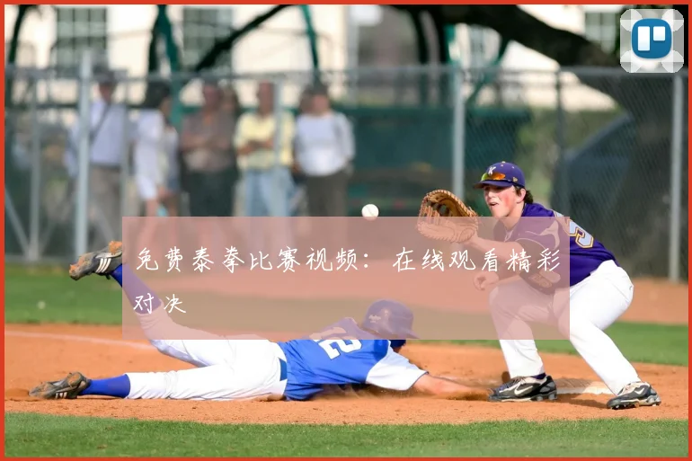 免费泰拳比赛视频：在线观看精彩对决