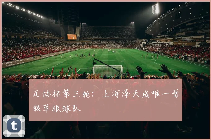 足协杯第三轮:上海泽天成唯一晋级草根球队