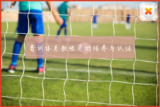 青训体系教练员的培养与认证