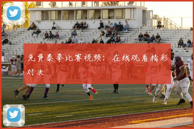 免费泰拳比赛视频：在线观看精彩对决