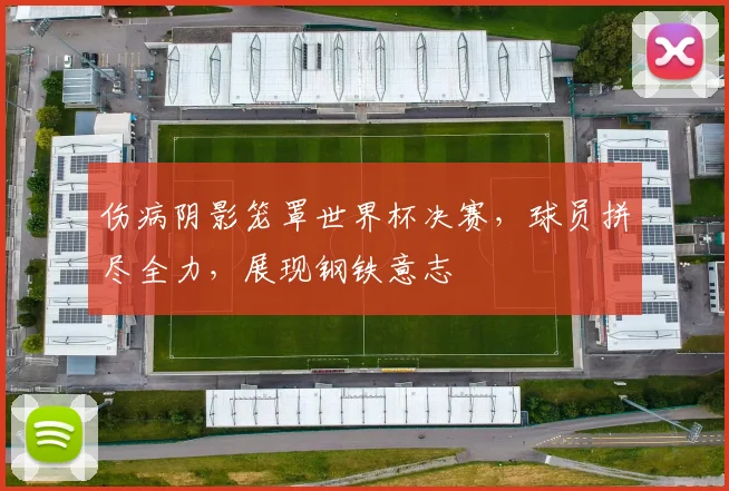 伤病阴影笼罩世界杯决赛，球员拼尽全力，展现钢铁意志