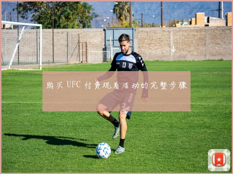 购买 UFC 付费观看活动的完整步骤