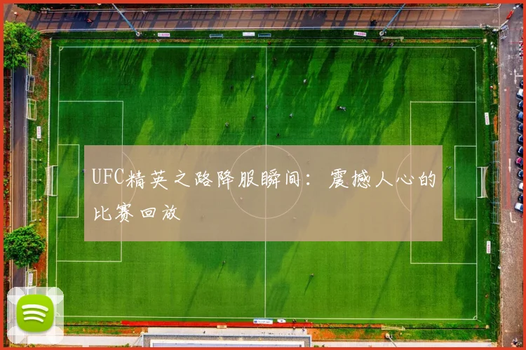 UFC精英之路降服瞬间:震撼人心的比赛回放