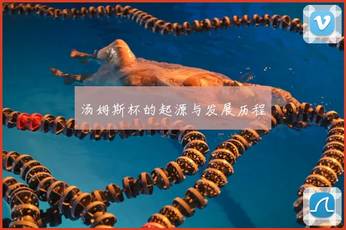汤姆斯杯的起源与发展历程
