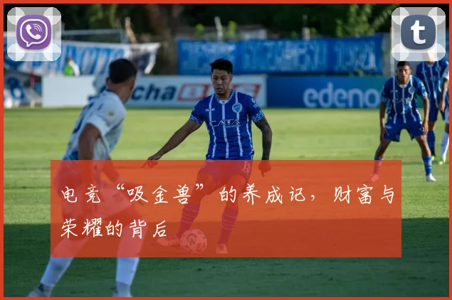 电竞“吸金兽”的养成记，财富与荣耀的背后