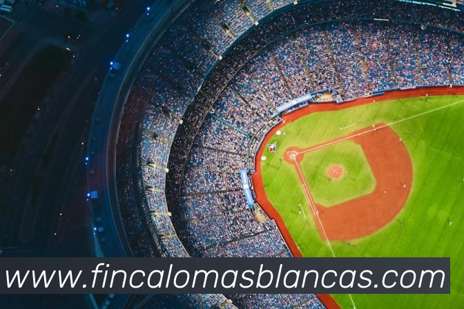 电竞内容频道